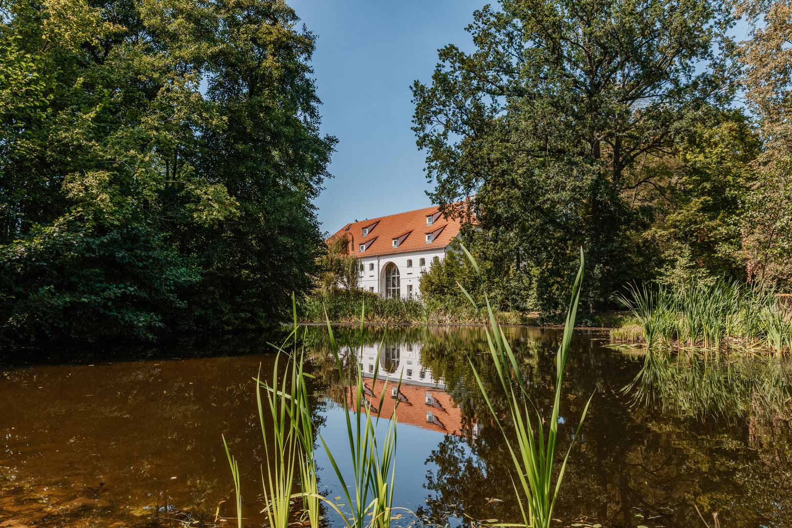 Lieberose