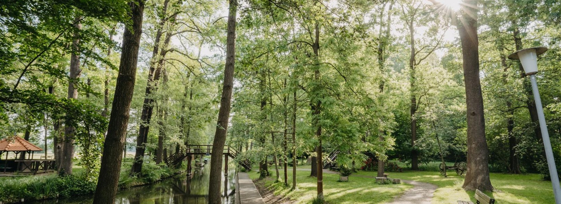 Wanderweg Spreewald Sonne scheint durch Bäume