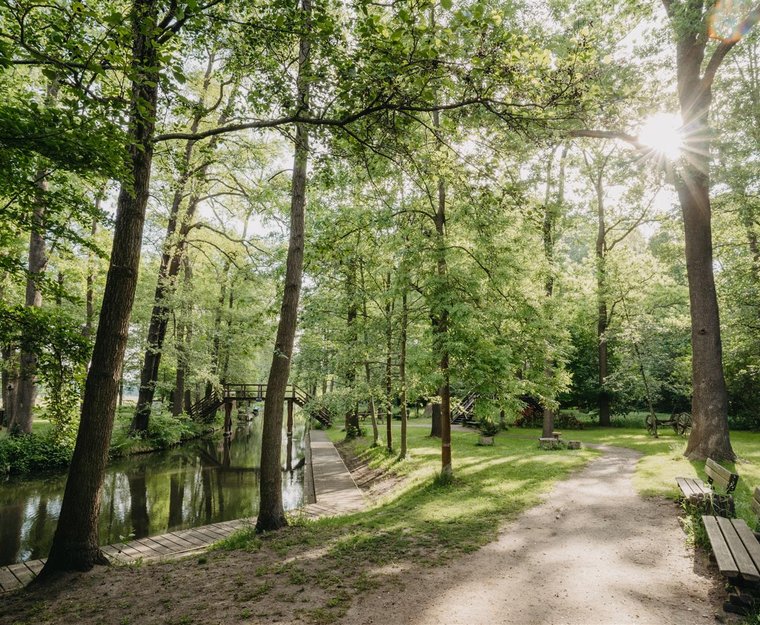 Wanderweg Spreewald Sonne scheint durch Bäume