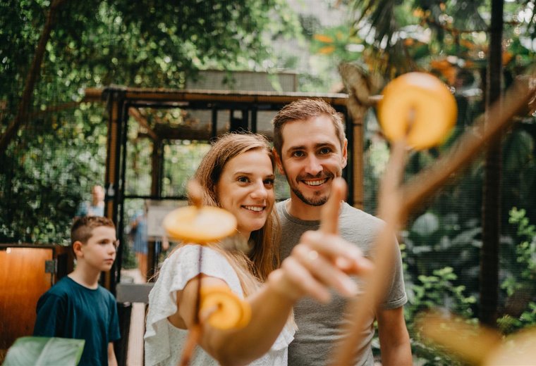 Familie schaut Schmetterlingen im Tropical Island zu wie sie Nektar trinken