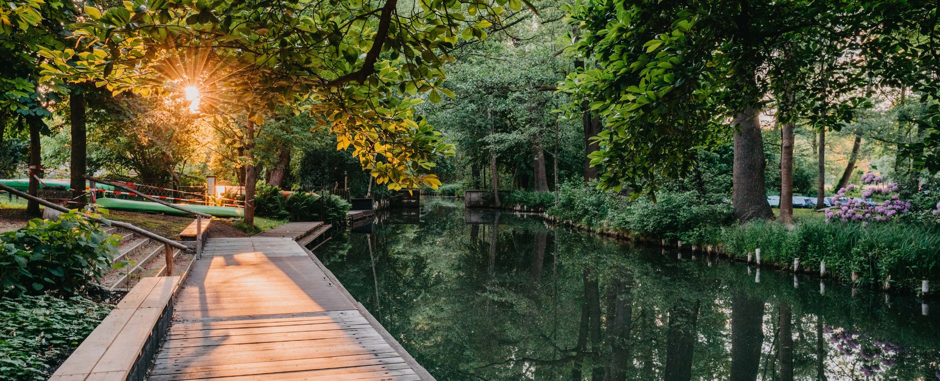 Steg an Fließ im Spreewald bei Sonnenuntergang