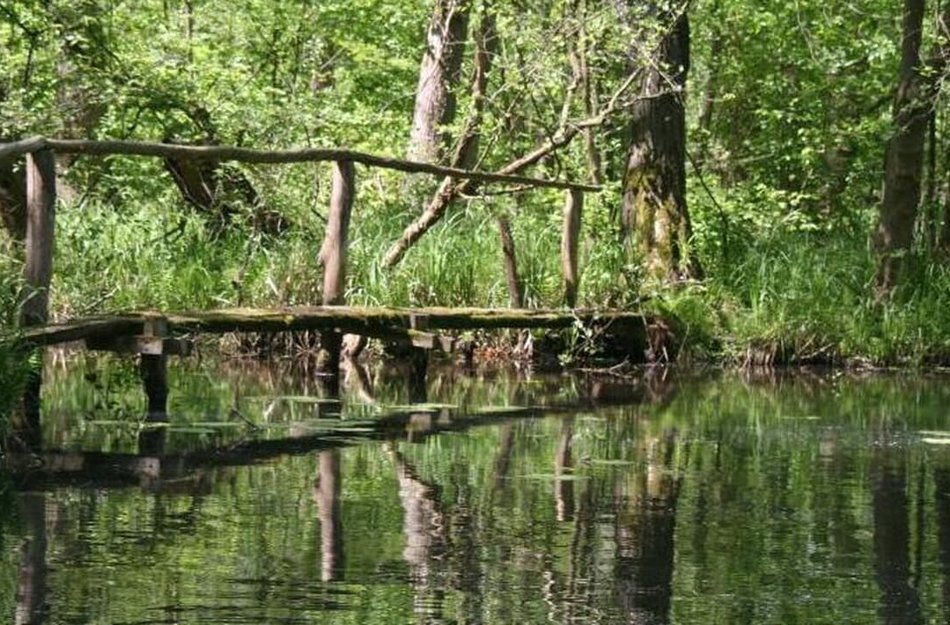 Kahnfahrten Lehmann