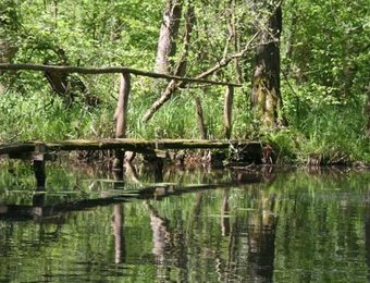 Kahnfahrten Lehmann