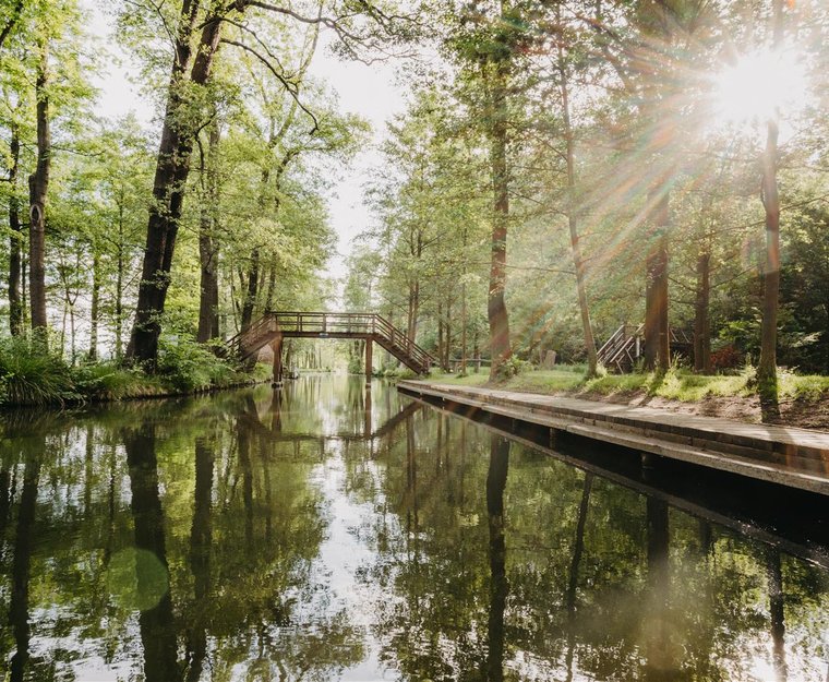 Spreewald Hafen Szene