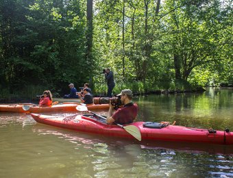 Paddeln im Spreewald und Fototour