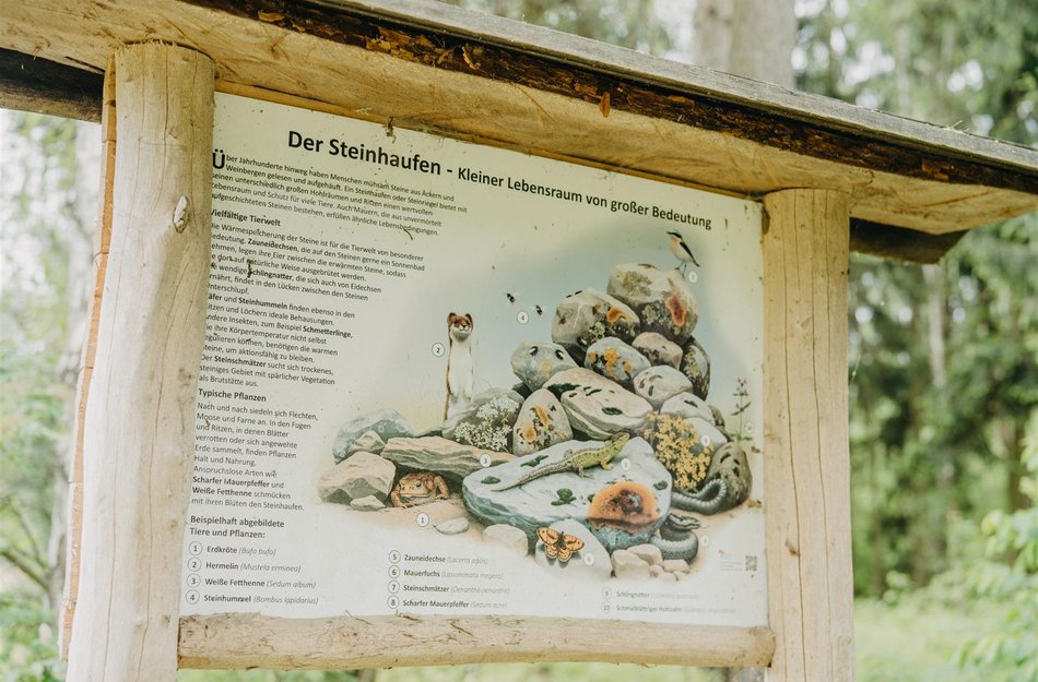 Teichlehrpfad Infotafel