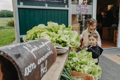 Kinder stehen vor Hofladen in der Auslage große Kohlköpfe und Salate