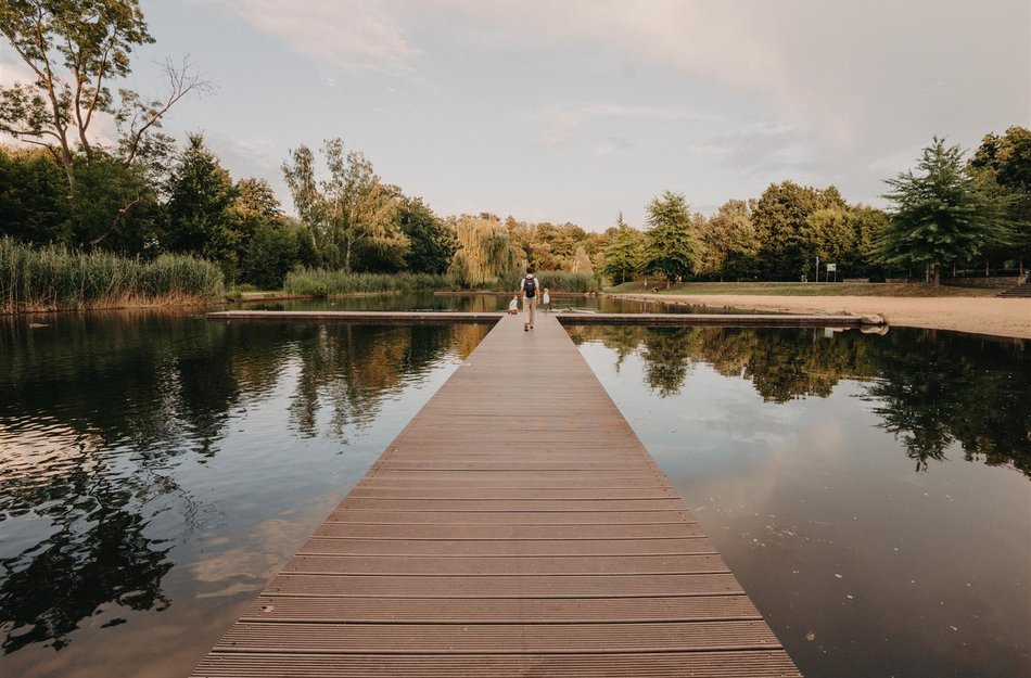 Steg am See im Spreewald