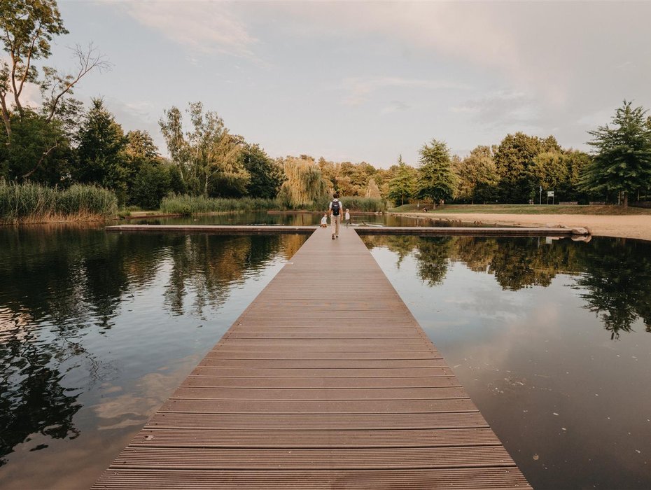Steg am See im Spreewald