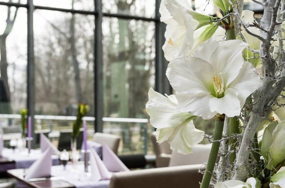 Restaurants des Landhotel Burg im Spreewald