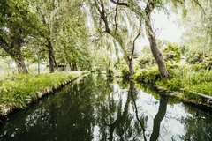 Spreewald Fließ