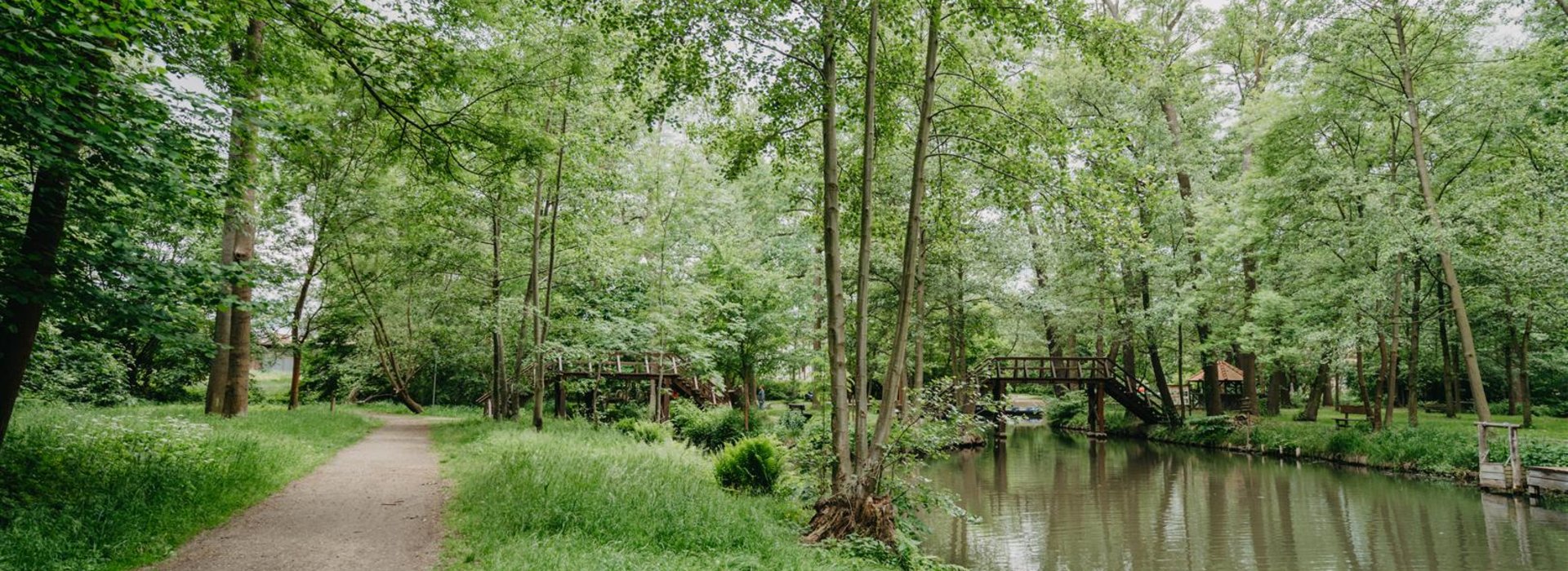 Radweg an Fließ im Spreewald