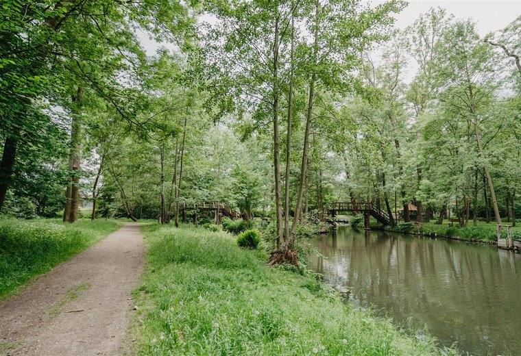 Radweg an Fließ im Spreewald