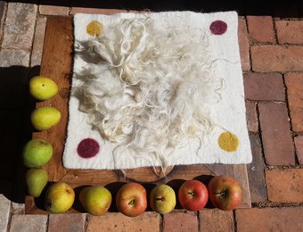 Filzworkshop Titelbild