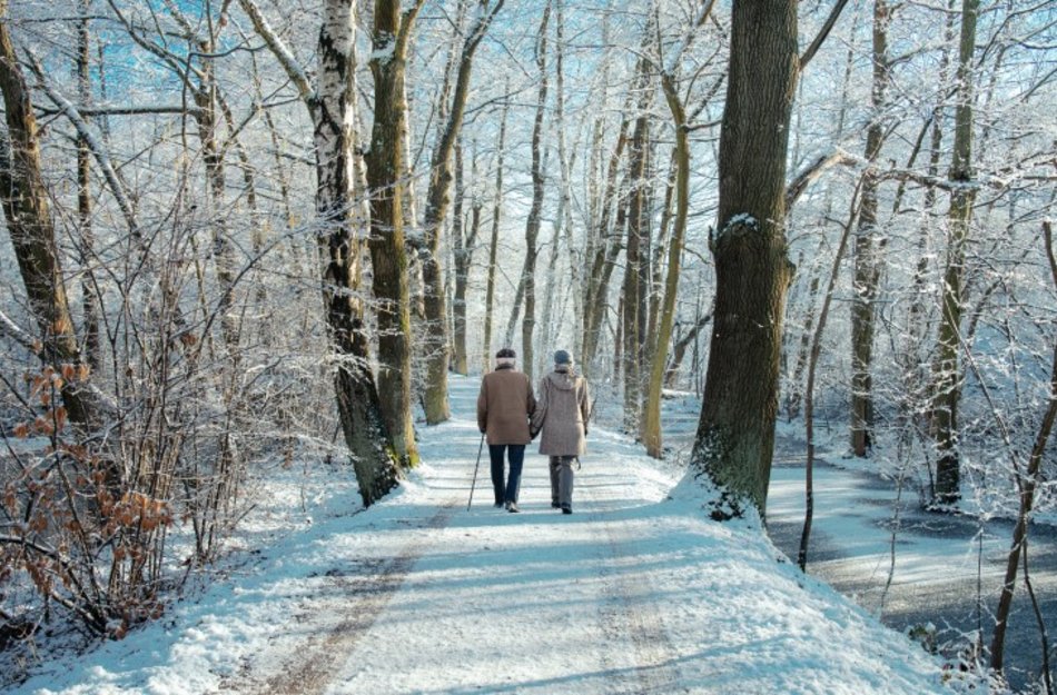 Wanderungen im Winter