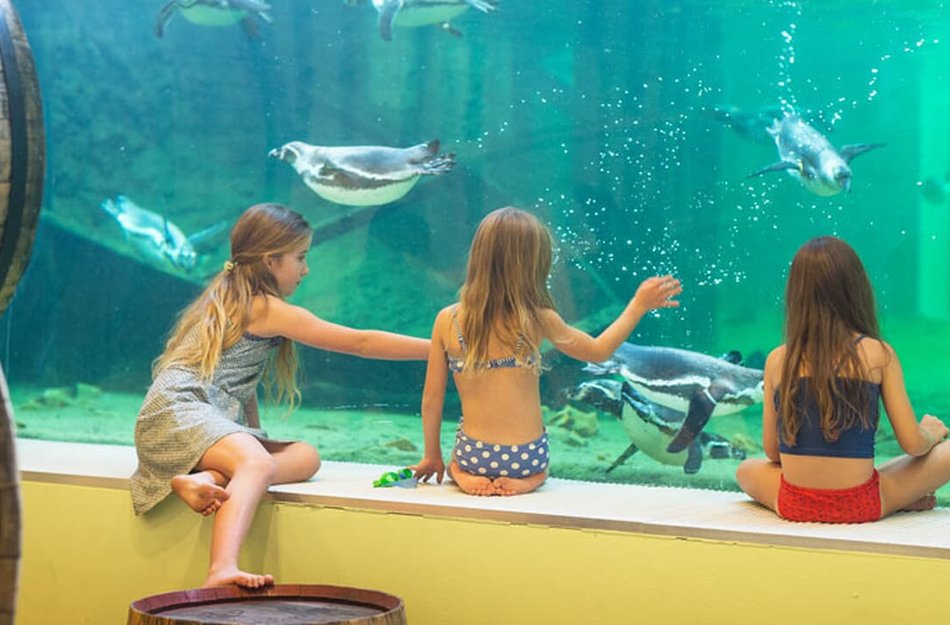 Spreewelten Erlebnisbad Freizeitbad Spaßbad Lübbenau