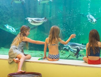 Spreewelten Erlebnisbad