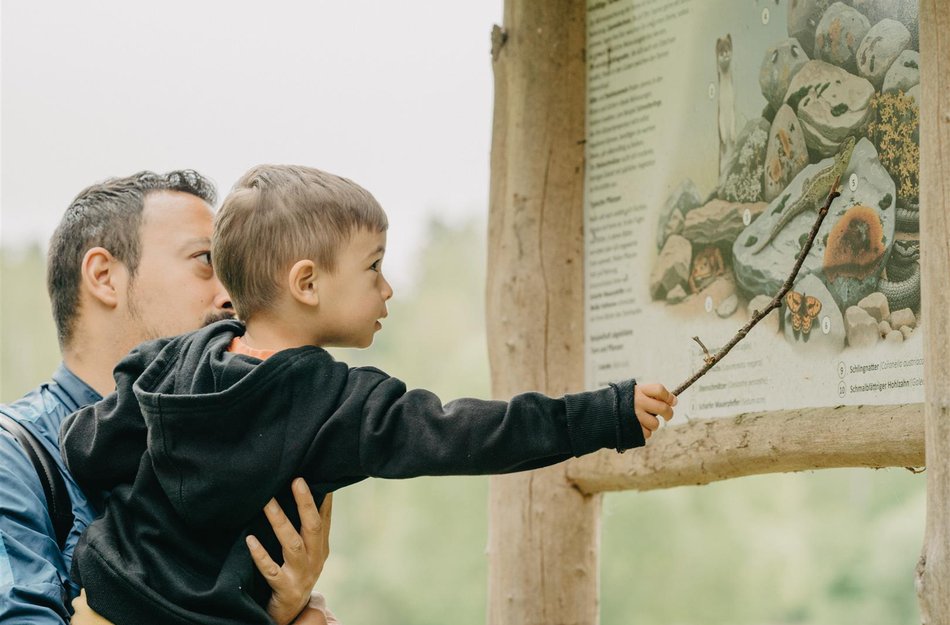 Mann hält Jungen hoch, der mit Stock auf Karte an Naturweg zeigt