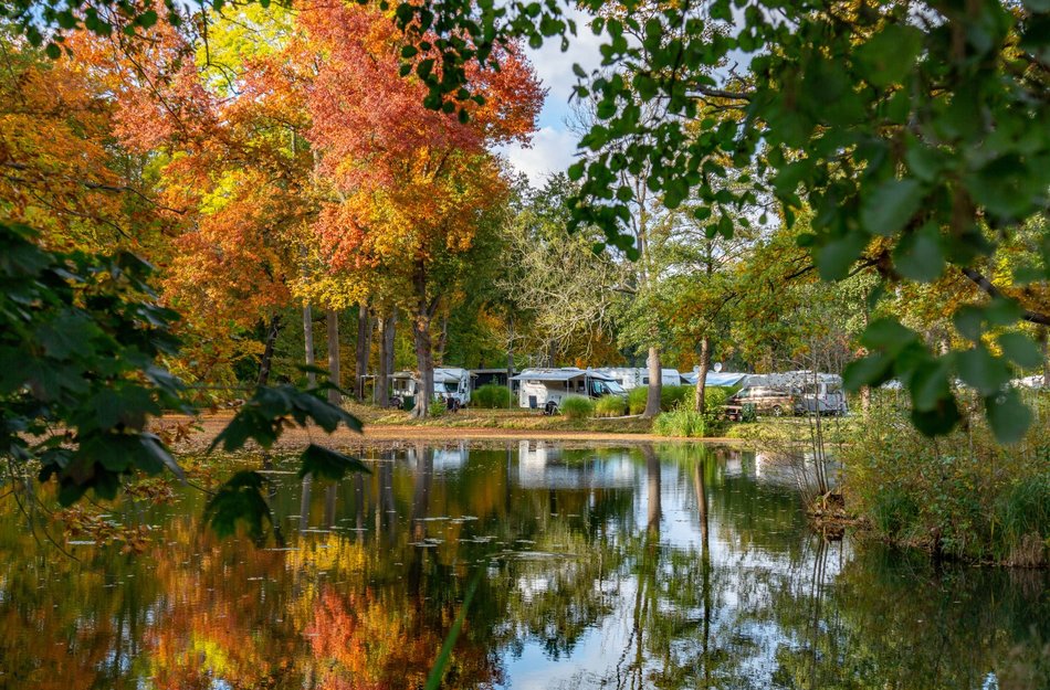Herbst Bäume vorne See und hinten Fläche mit Wohnmobilen