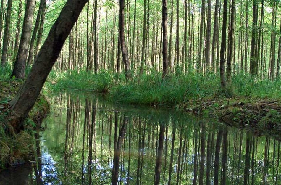 Kahnfahrten Brodack