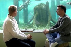 Moderator und Betreiber unterhalten sich Spreewelten Pinguin Bad vor Glasscheibe mit Pinguinen